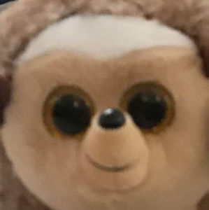 Meet your Posher, Violet